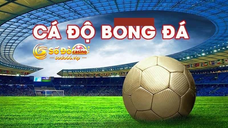 Có khả năng tăng thu nhập khi tham gia thể thao Sodo66
