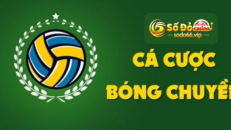 Trò chơi cá độ bóng chuyền