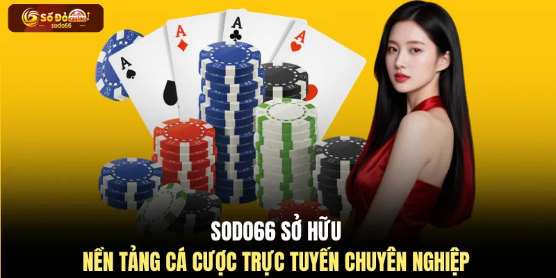 SODO66 sở hữu nền tảng cá cược trực tuyến chuyên nghiệp